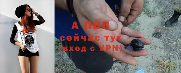 мяу мяу мука Бородино