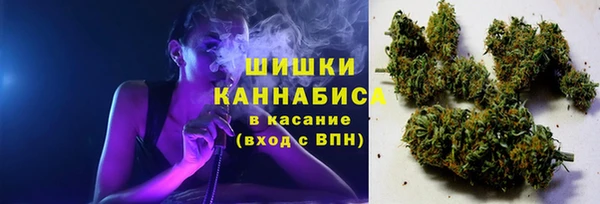 PSILOCYBIN Бронницы