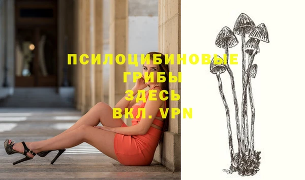 молекула духа Сосновый Бор